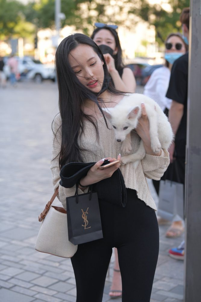 抱着小狗的漂亮女孩 J2106 136P-3.25GB套图库-美女套图库-街拍套图套图库